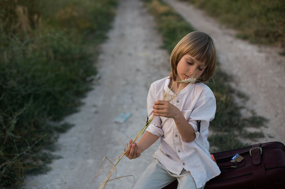 просторы степи