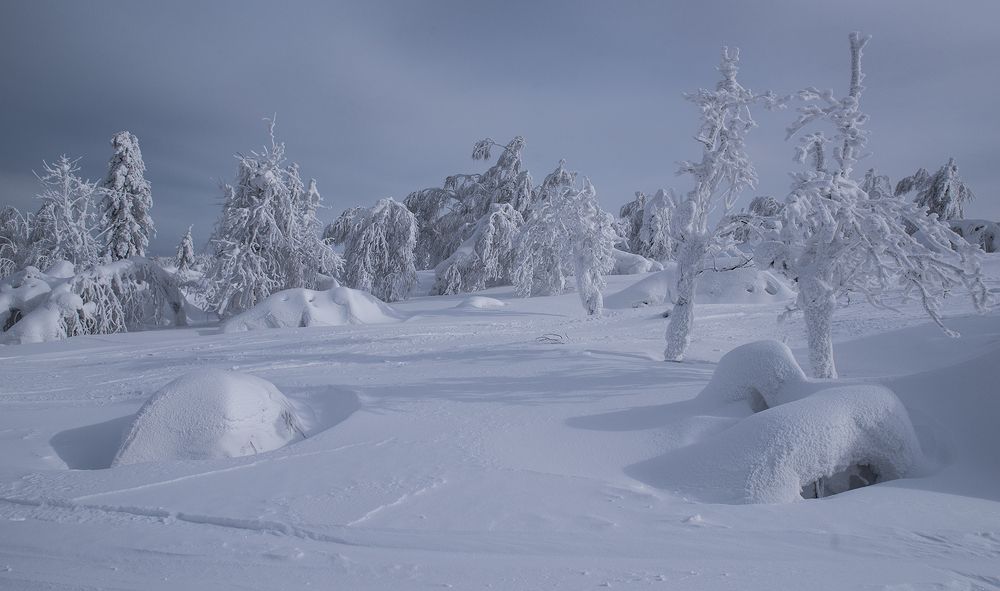 Зимняя сказка