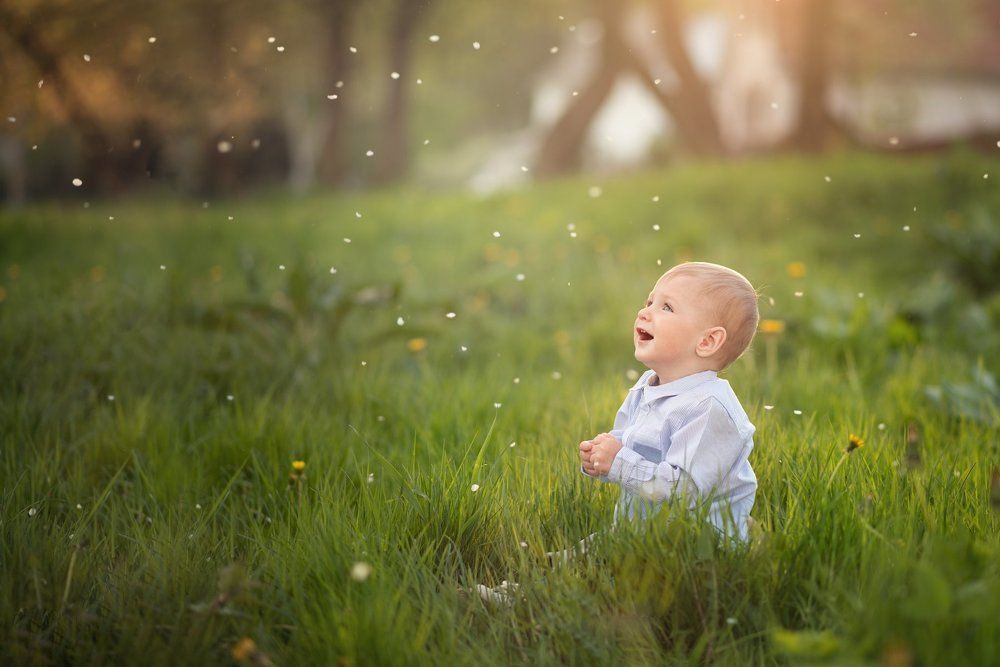 Майский дождик