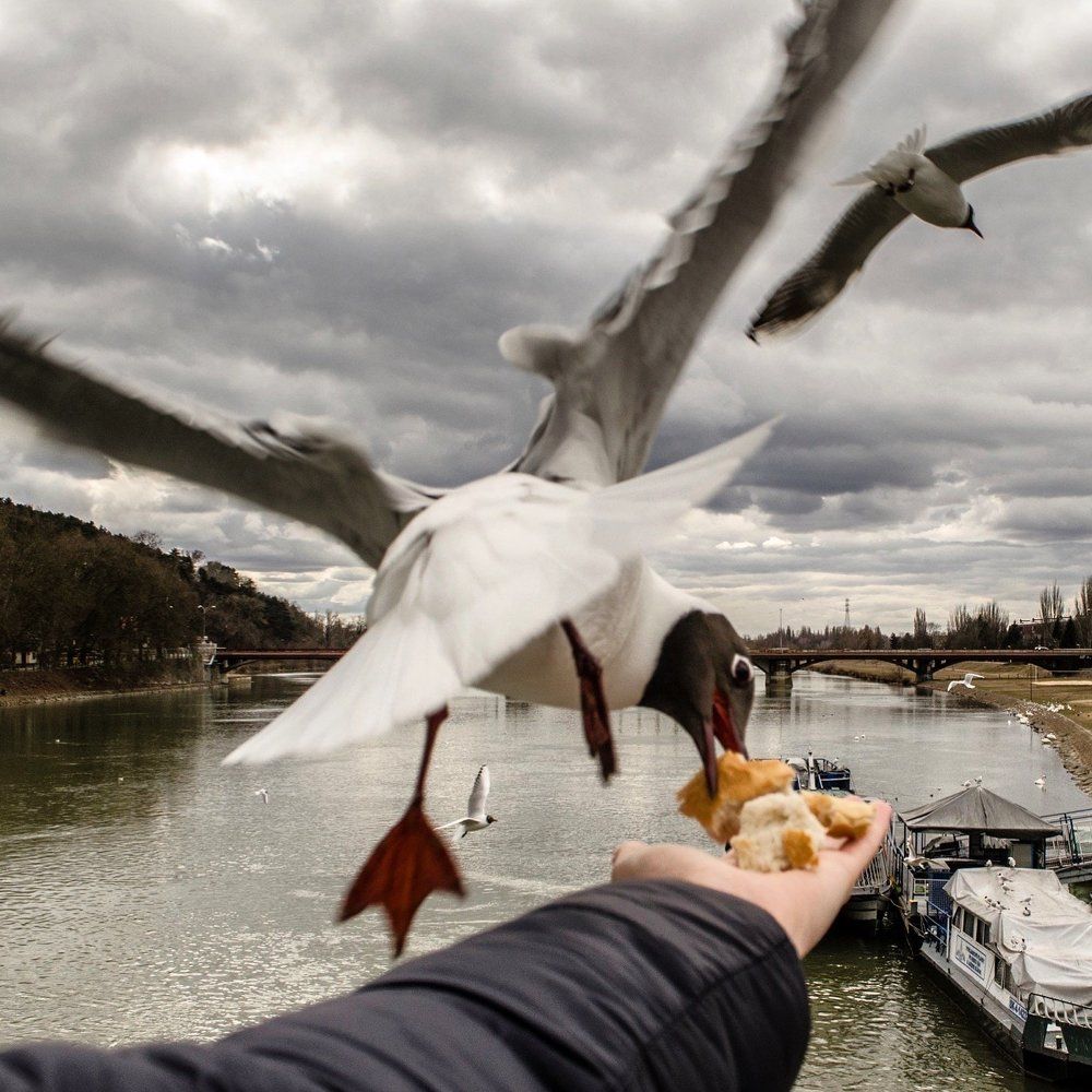 Photograph by Marina