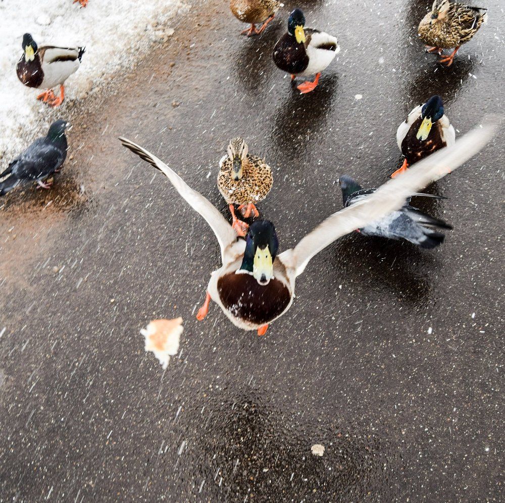 Photograph by Marina