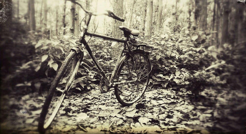 On an adventure...!