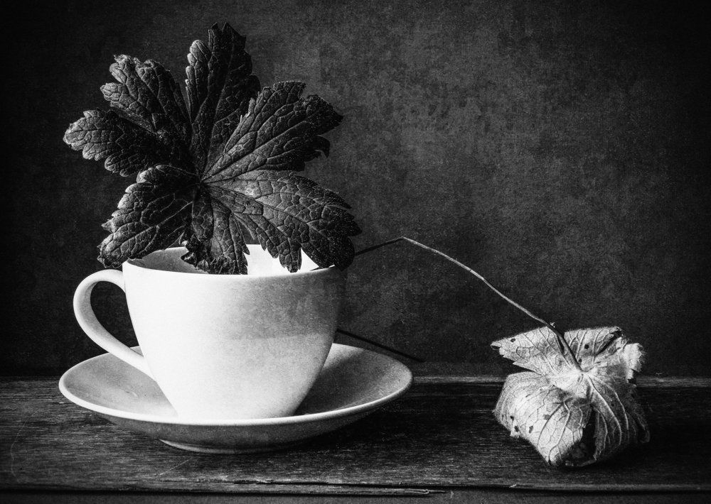 карету мне, карету