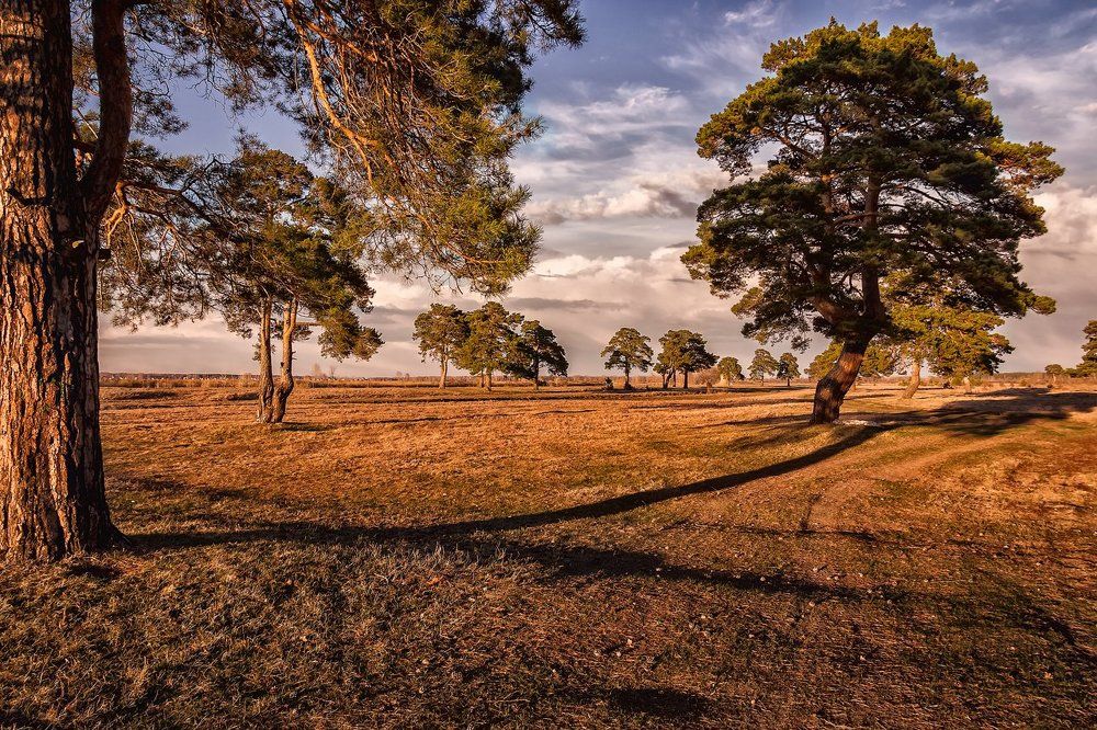 Апрельский закат