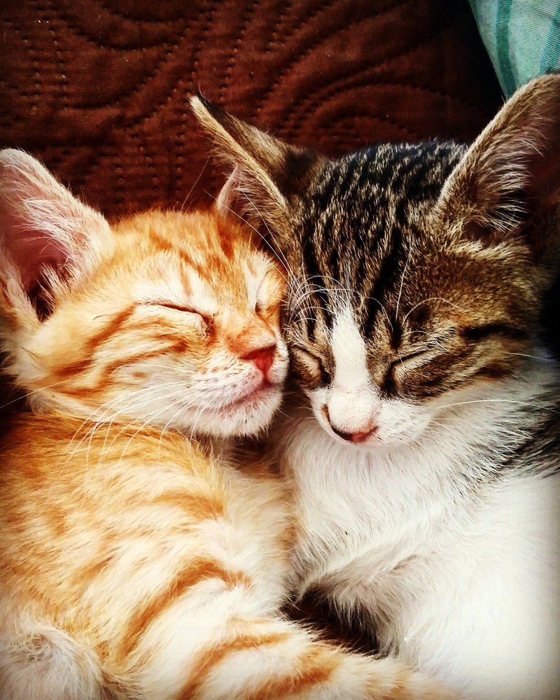 Photograph by Kandubasha