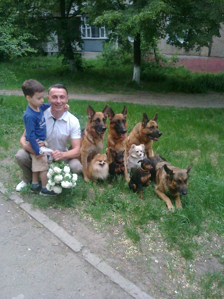 Идиллия,как она есть.