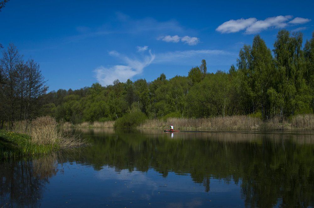 Оттенки синего.