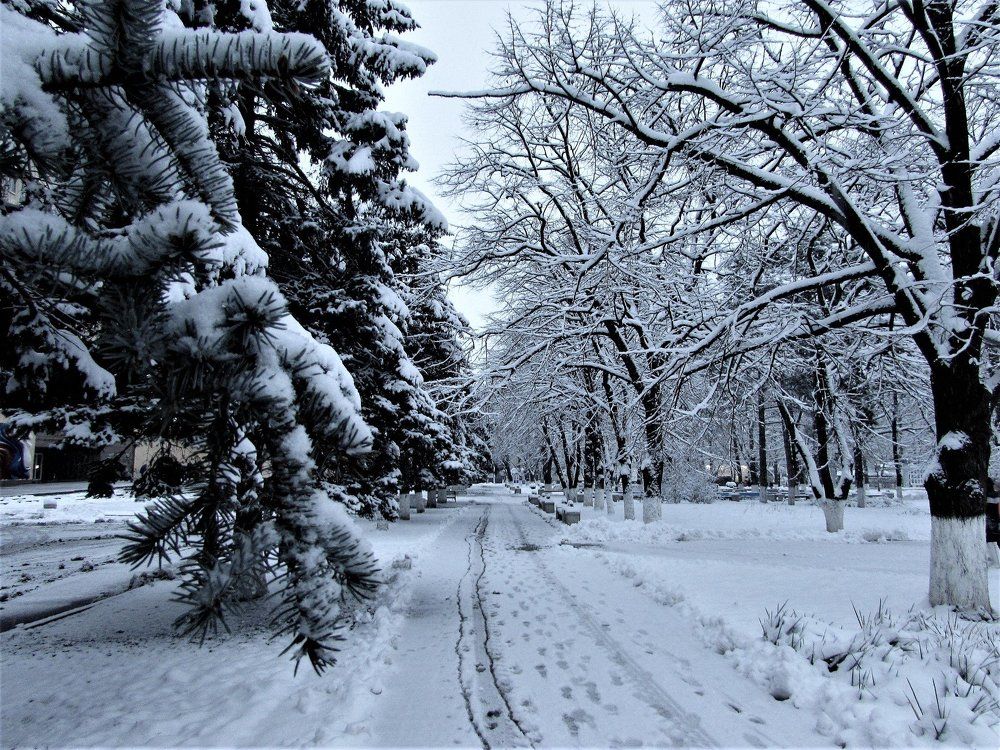 Winter