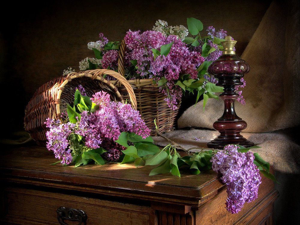 Пора сирени