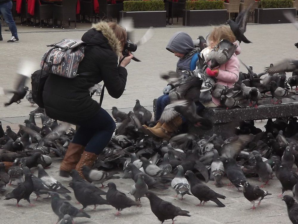 Удачный кадр. Дети и голуби.