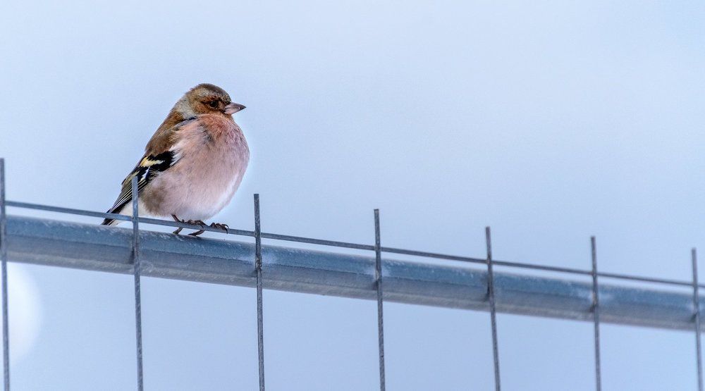 Чего снимаешь?