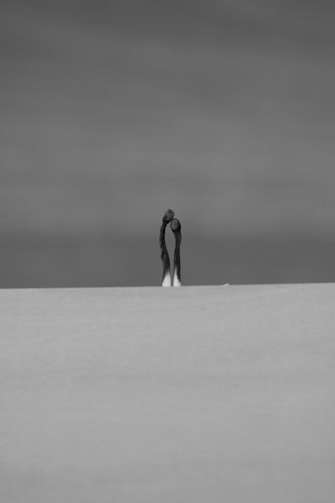 Последняя любовь...