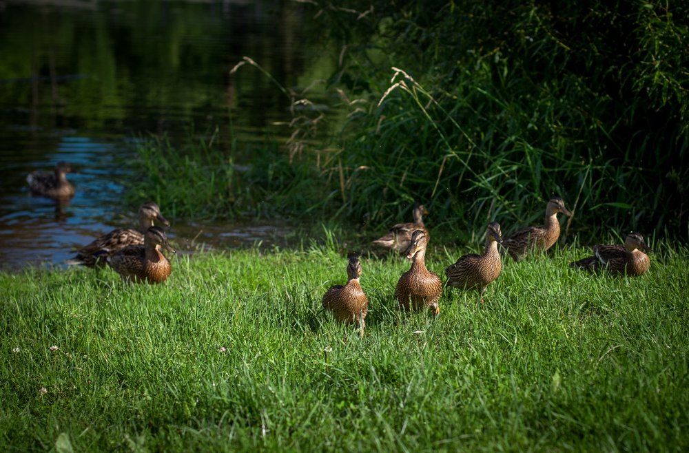 Photograph by Анастасия
