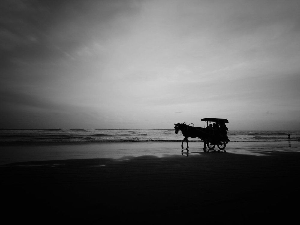 Horse on the beach