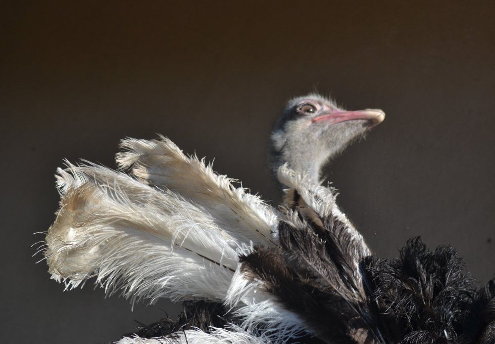 Photograph by Надежда Буаллаг