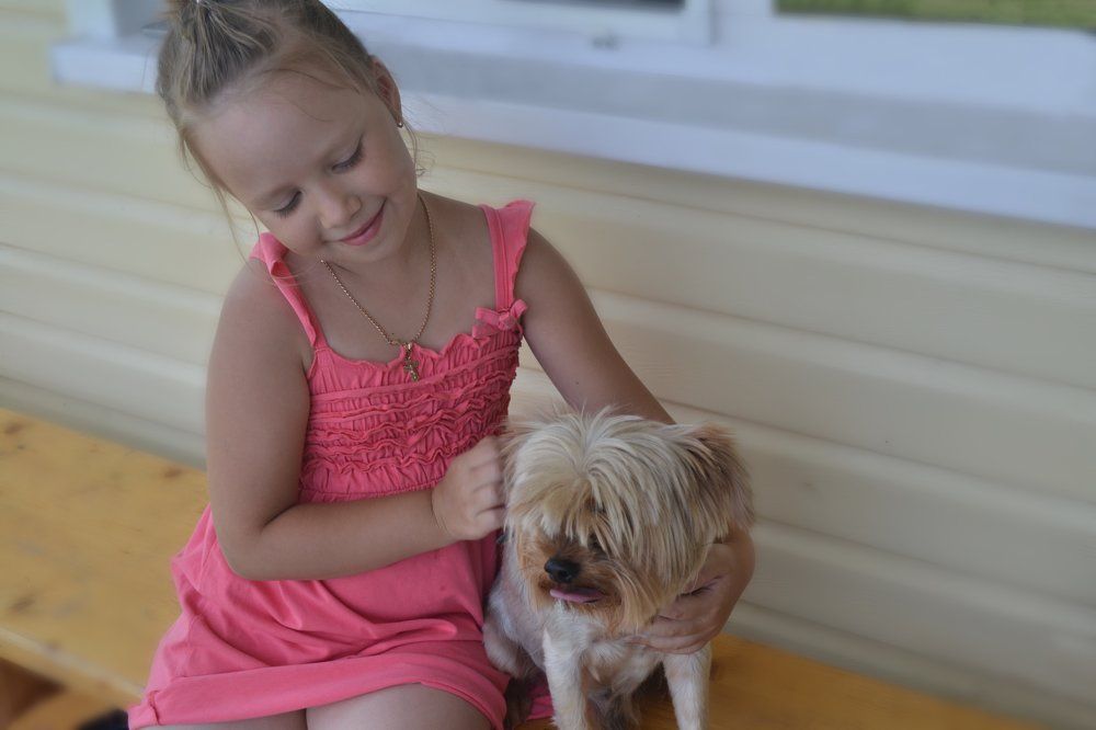 Первая встреча