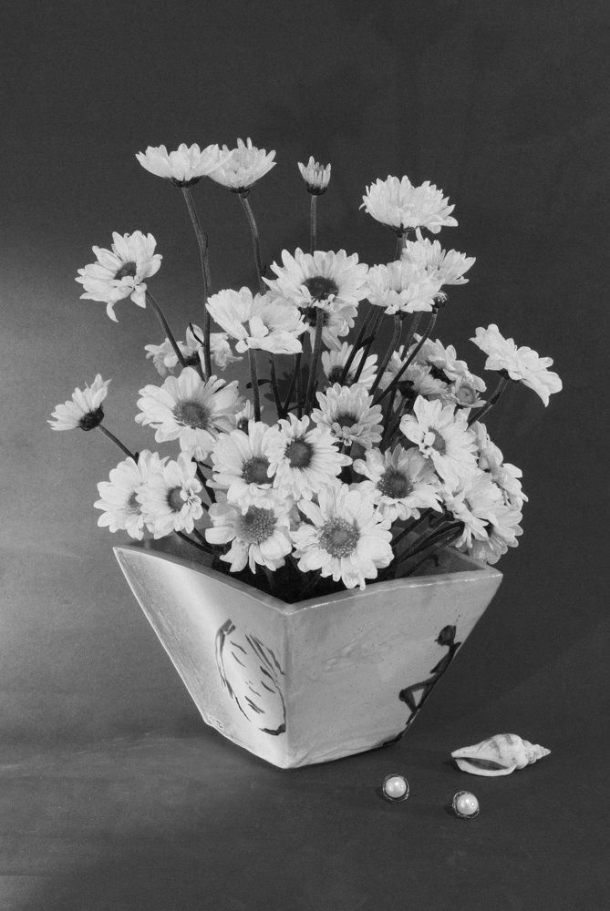 Забытые серёжки