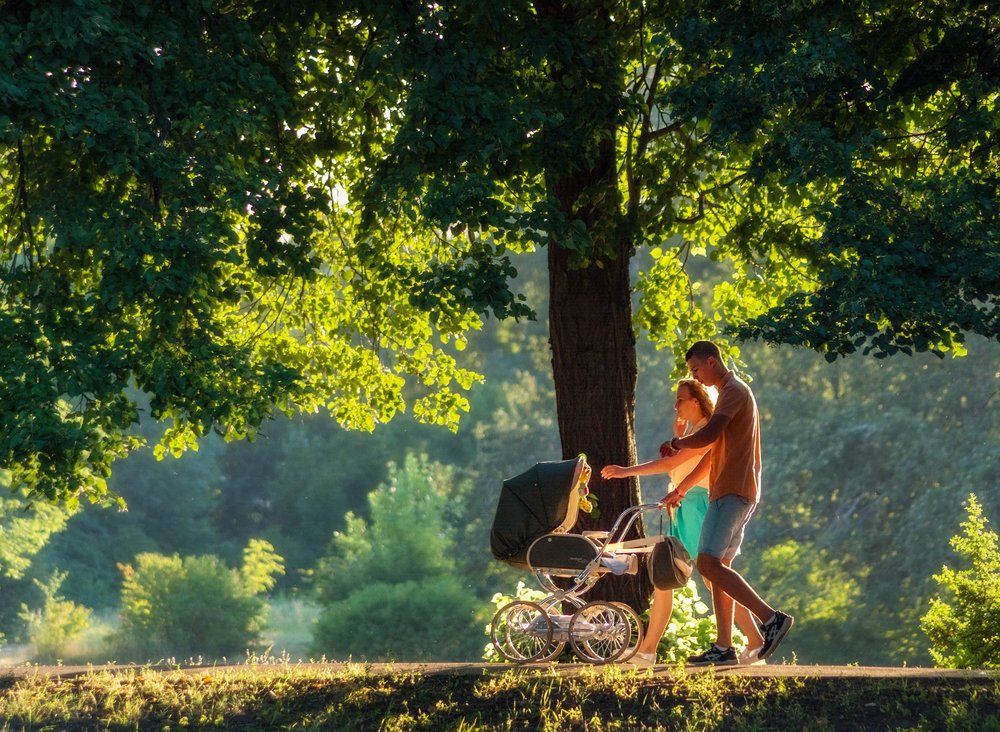Вечерняя прогулка