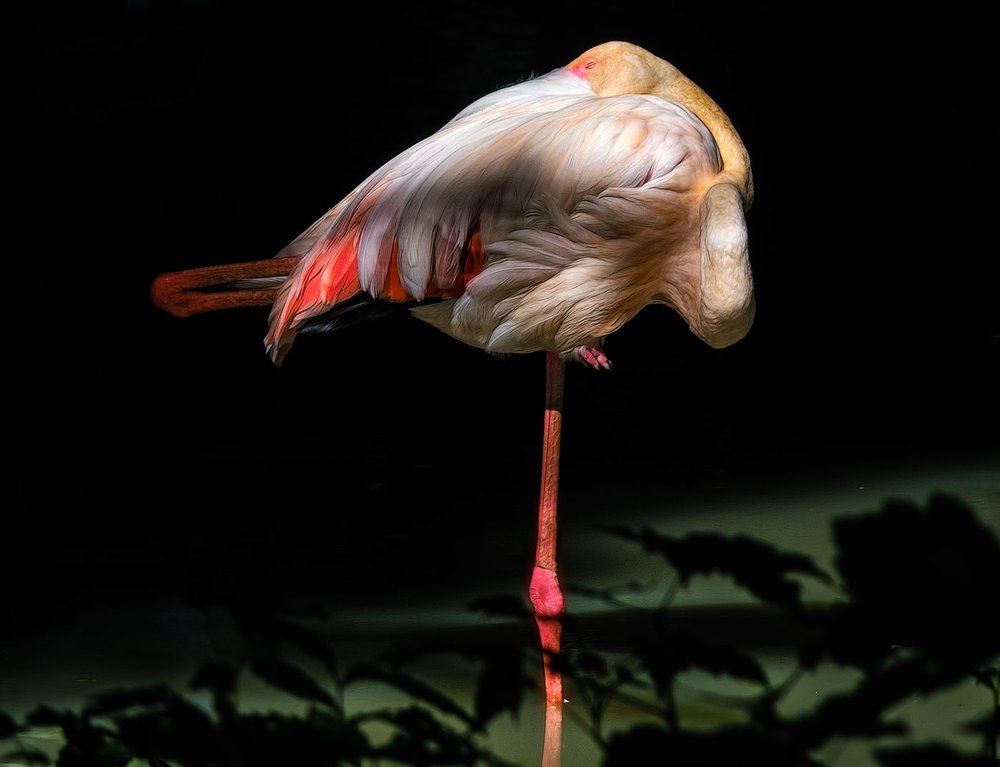 Устойчивость