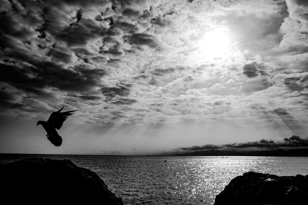 Средиземноморье.