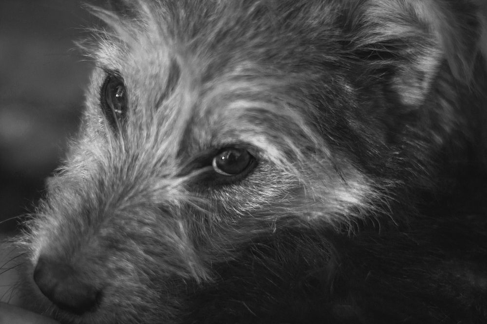 Любовь во взгляде