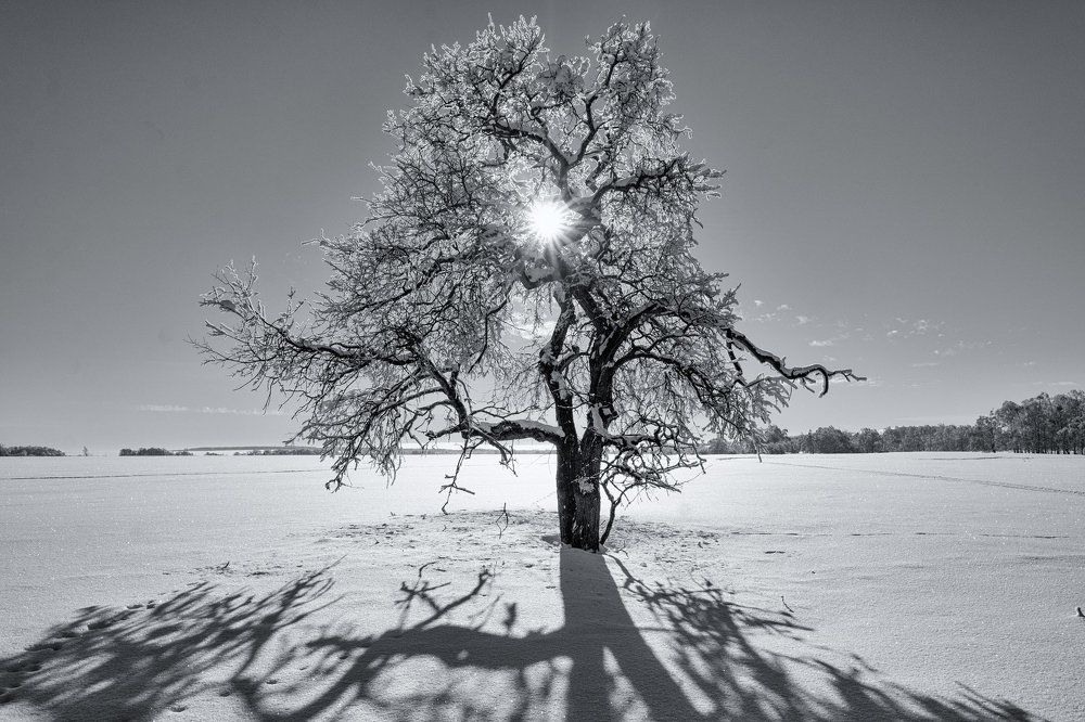 Photograph by Филякин Константин Владимирович