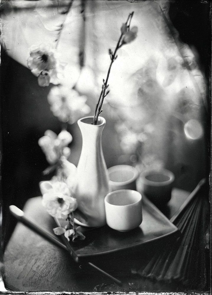 Ветка сакуры