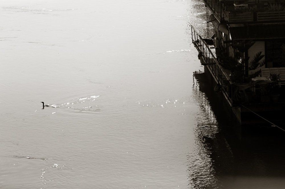 Уходя в белое