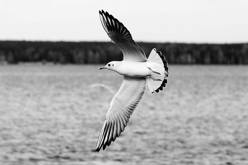 Photograph by Елизавета