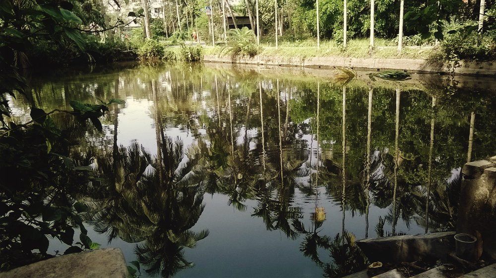 a reflection.....