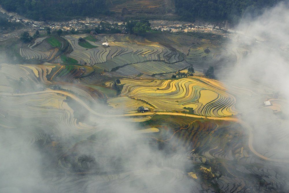 Painting in the Cloud