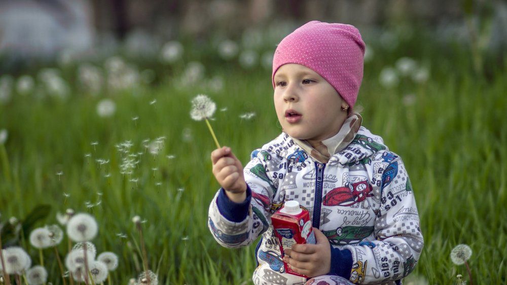 Облако из одуванчика