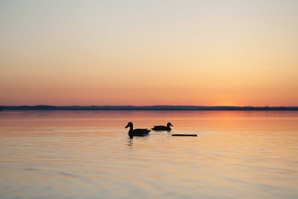 третий лишний