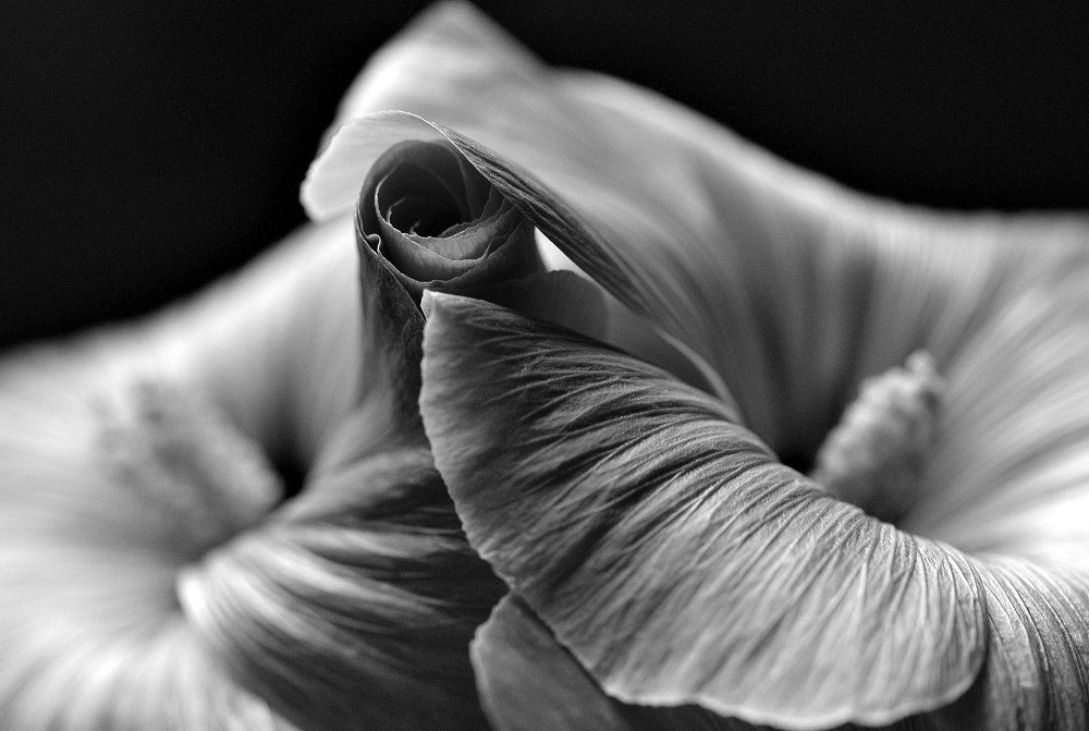 Photograph by Елена Боржковская