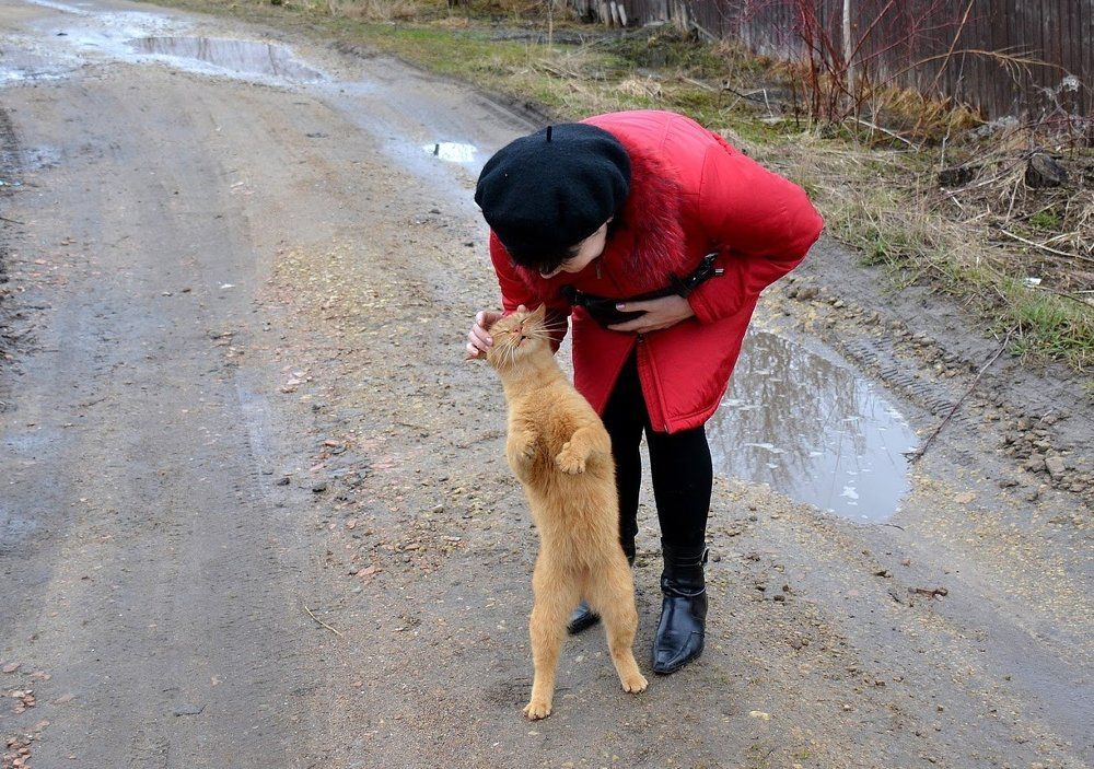 Photograph by Елена Боржковская