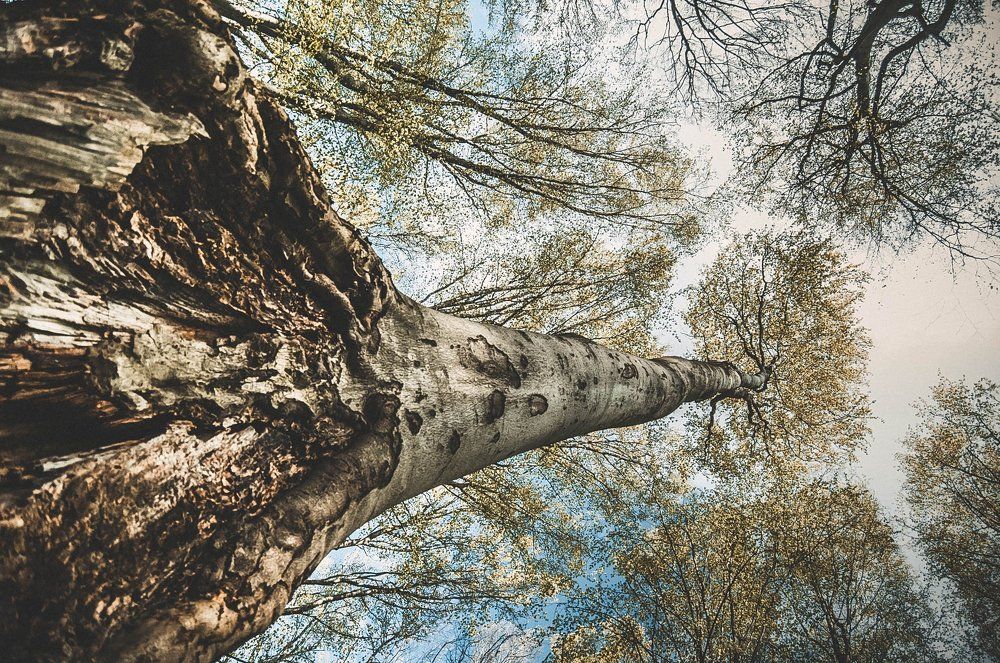 Photograph by ememdemska