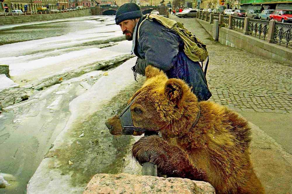 Весна на Фонтанке,скоро в лес пойдем.