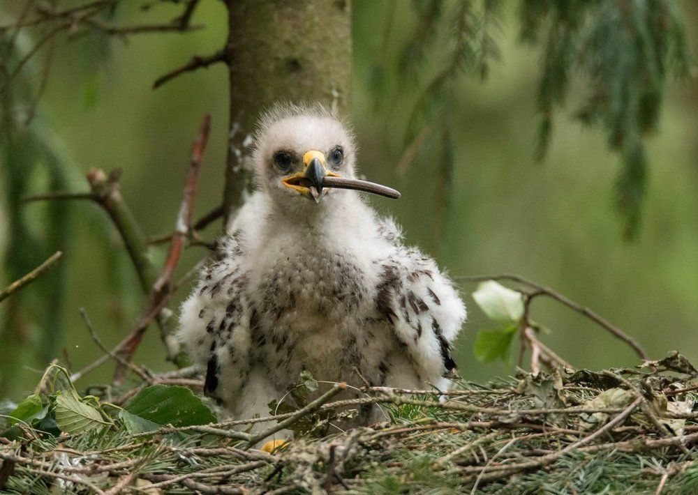 Папаша, огоньку не найдется?
