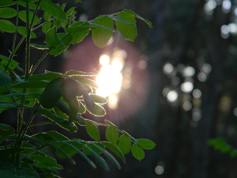 Photograph by Ира Балакова