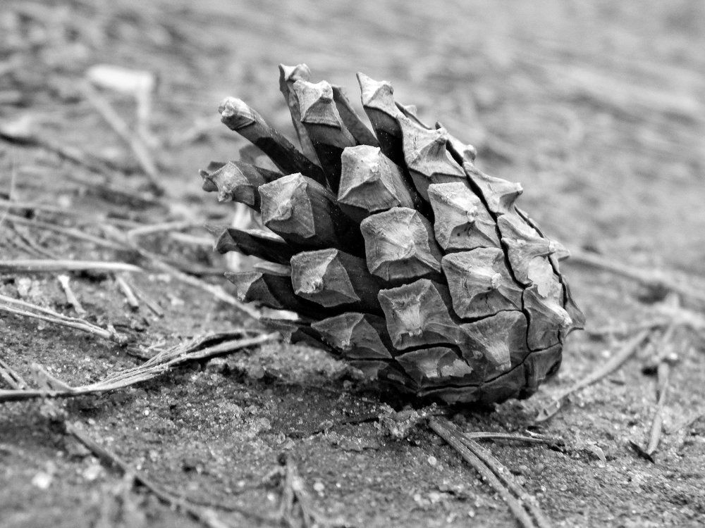 Photograph by Ира Балакова