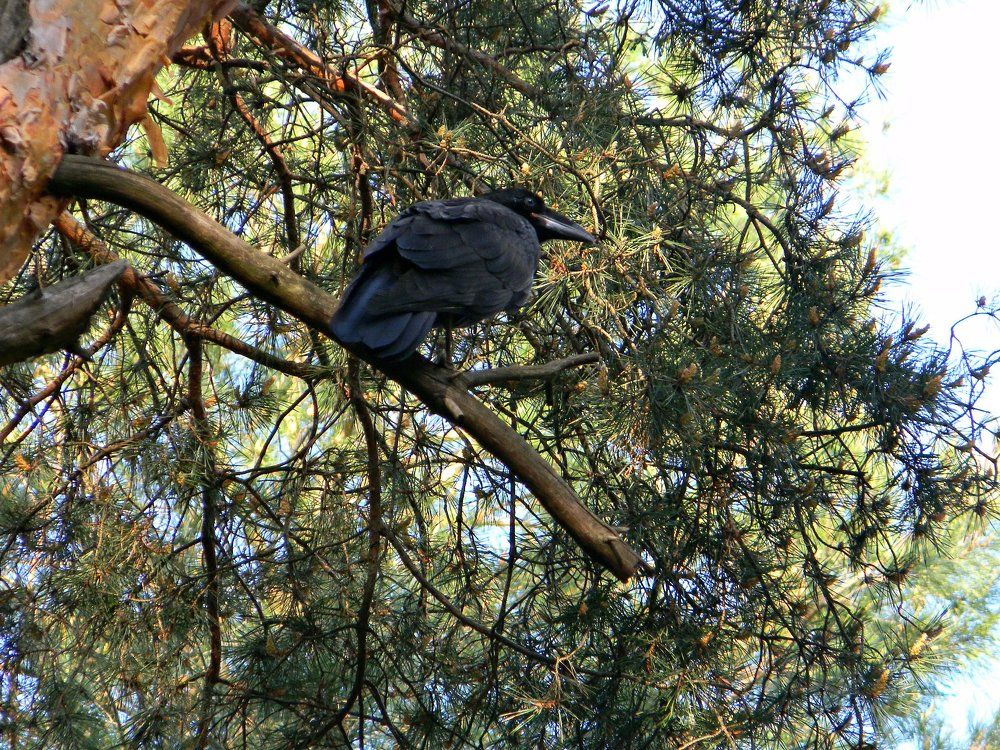 Photograph by Ира Балакова