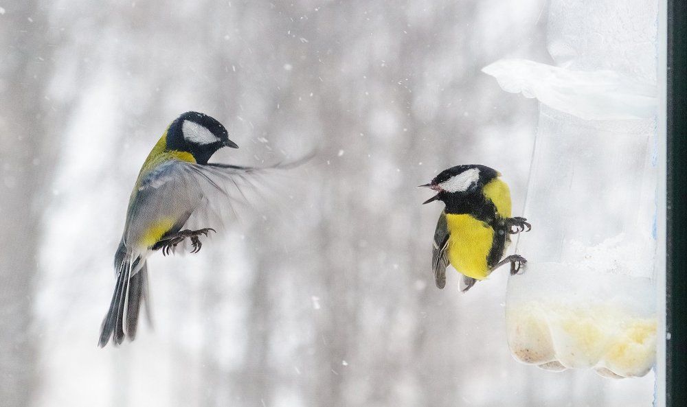 Не видишь, я кушаю...