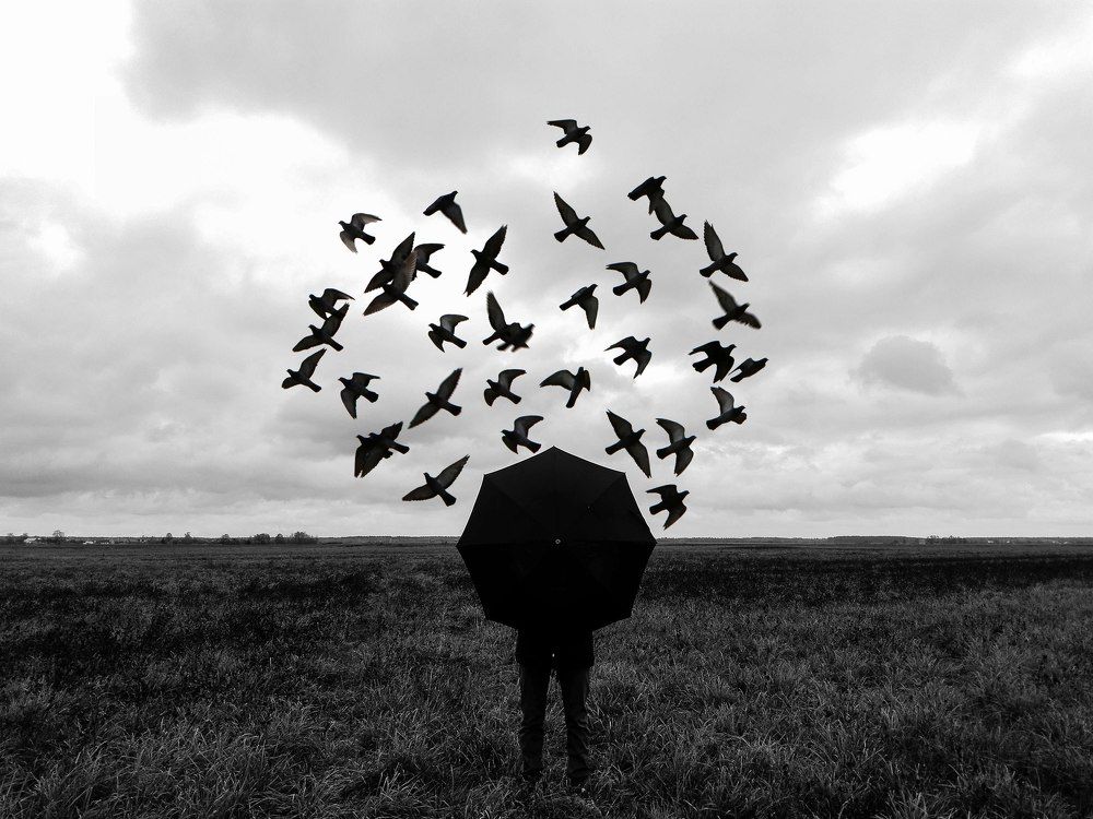 Полёт. Мобильная фотография