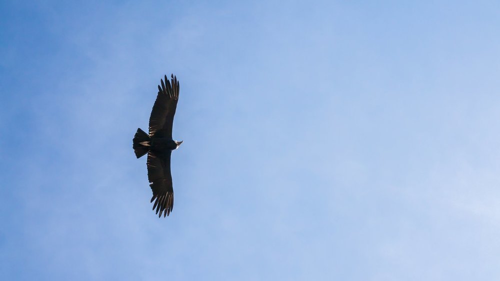 Над твоей головой.