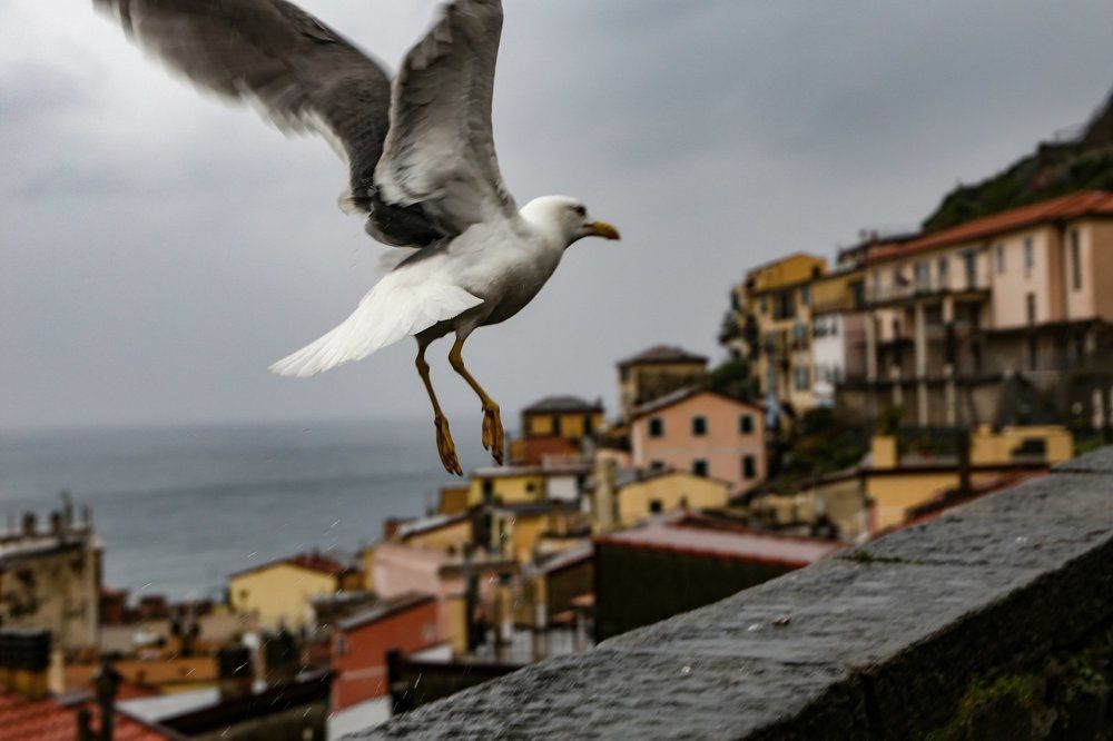 В дождливый вечер...