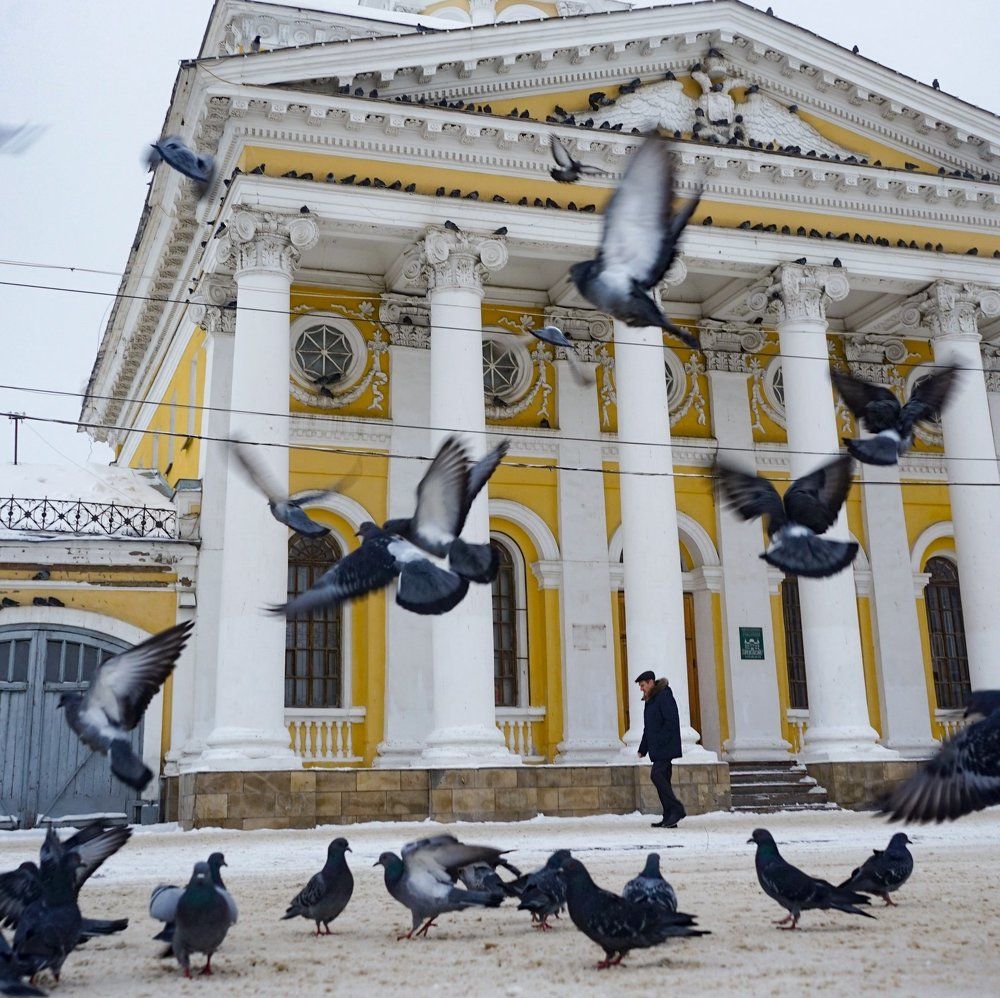 Птицы над городом.