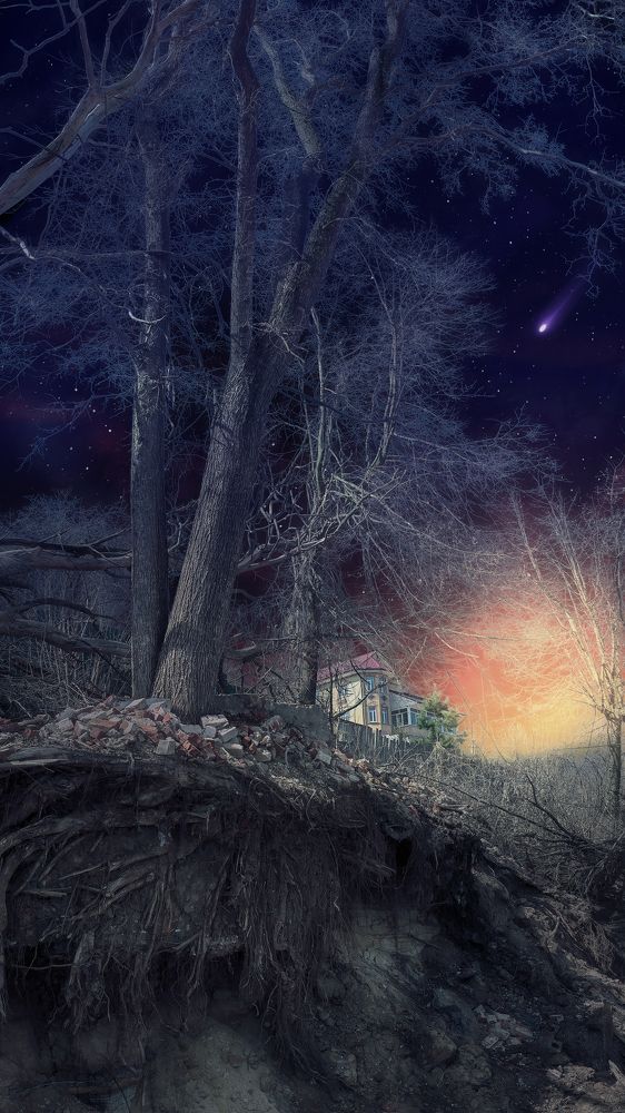 Звездная ночь