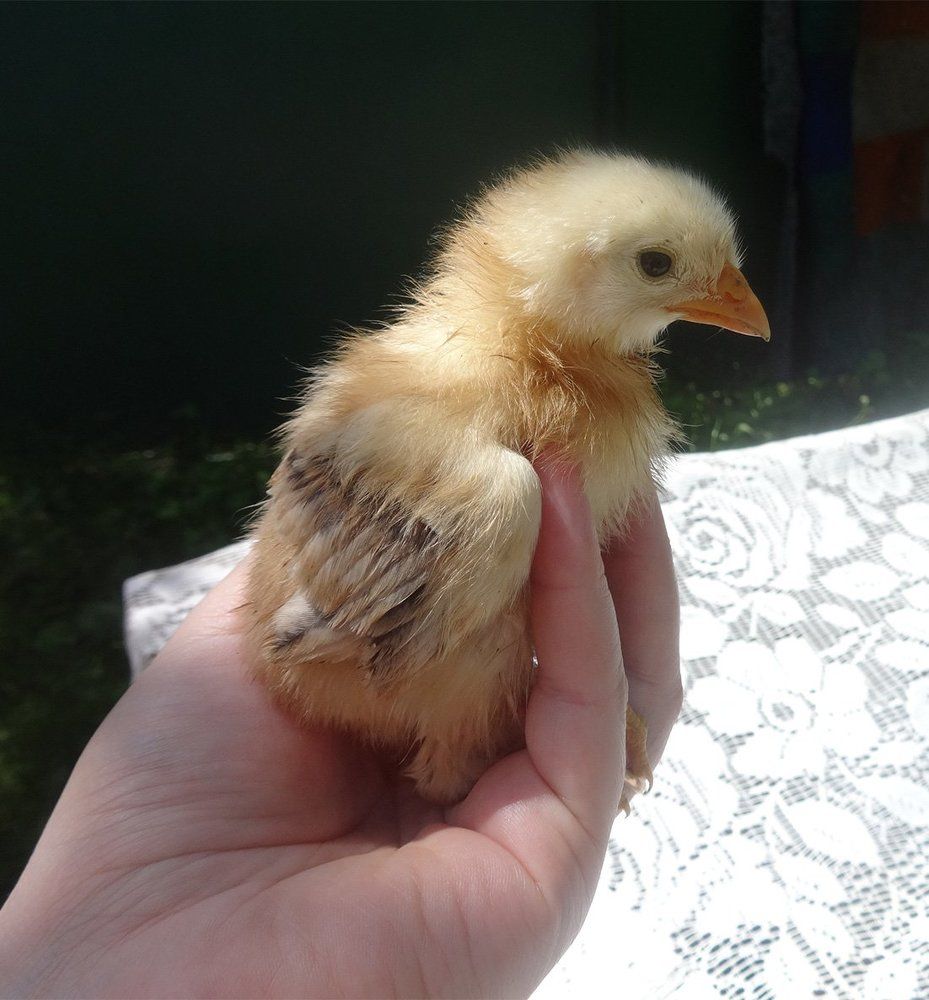 Photo #1759608