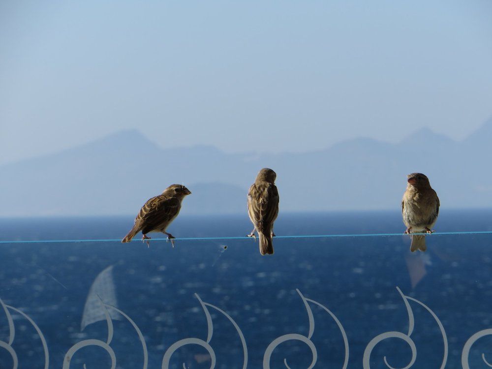 Совещание перед полетом...