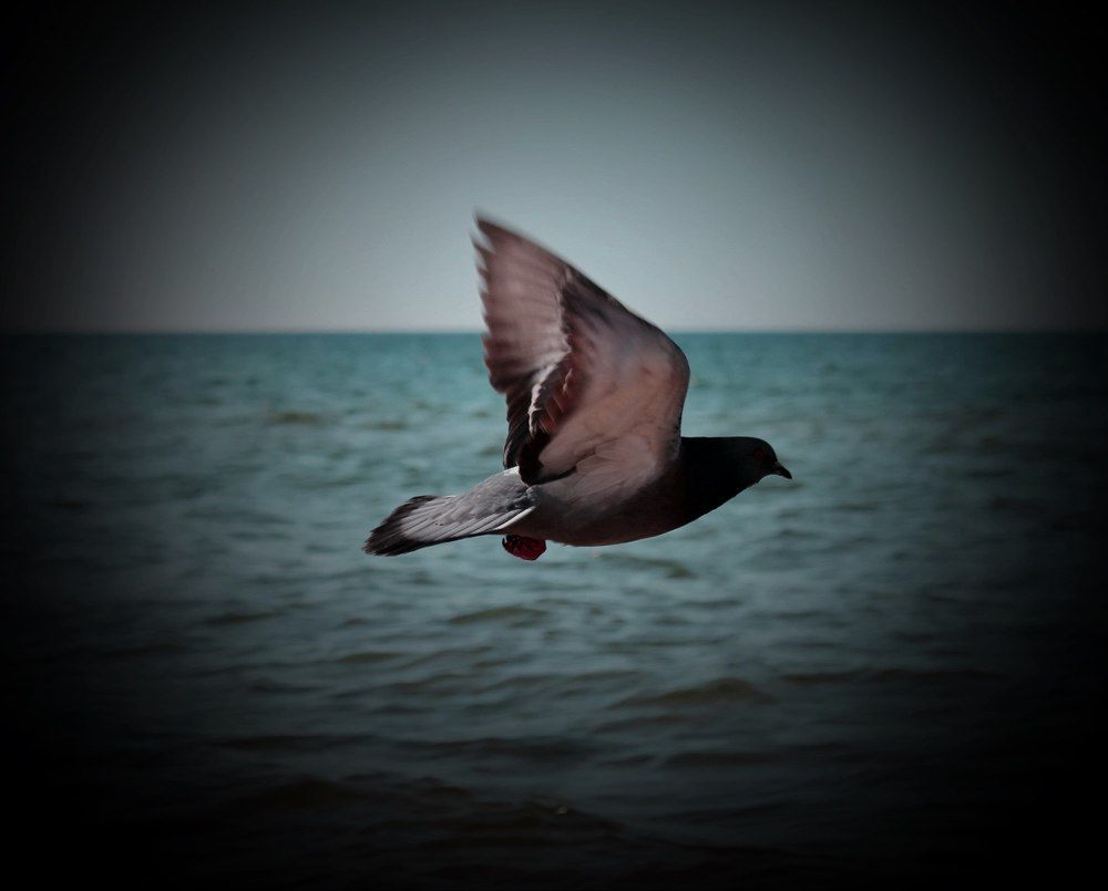 Преодолеваем горизонт